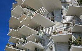 Arbre Blanc, Une Folie Montpellieraine